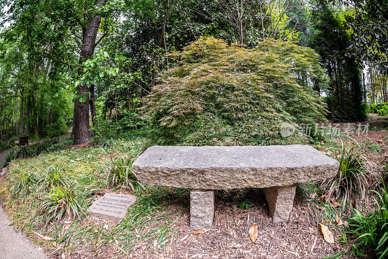 南卡罗来纳州斯帕坦堡Hatcher Gardens的可爱长椅